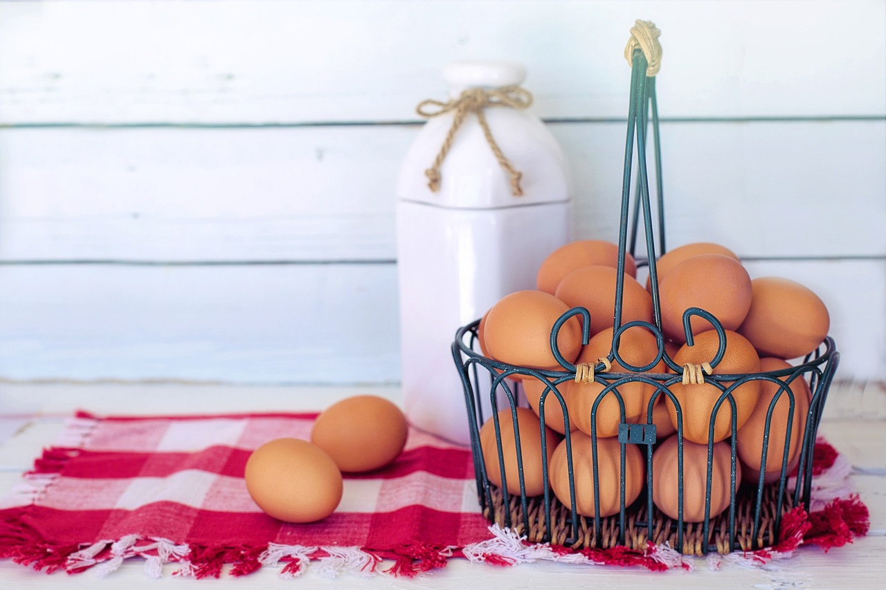 ¿Cuántos huevos pone la lombriz de tierra?