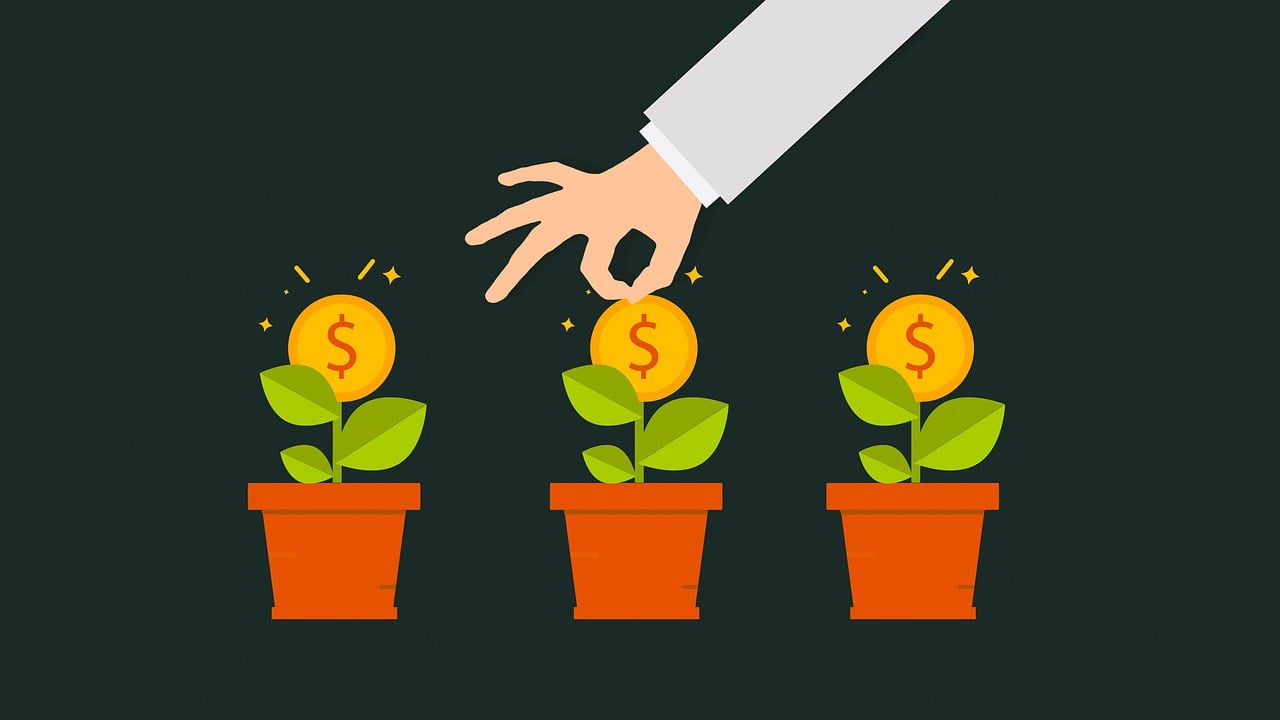 ¿Qué beneficios tiene el suelo?