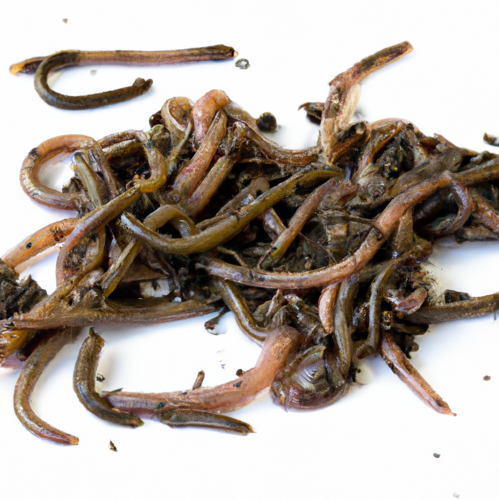 ¿Qué es y para qué sirve el vermicompost?